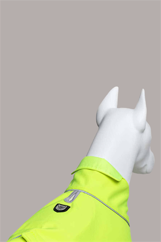 Lindodogs Softshell Neon Yeşil Küçük,Orta ve Büyük Irk Köpek Yağmurluğu