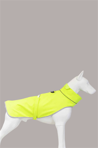 Lindodogs Softshell Neon Yeşil Küçük,Orta ve Büyük Irk Köpek Yağmurluğu