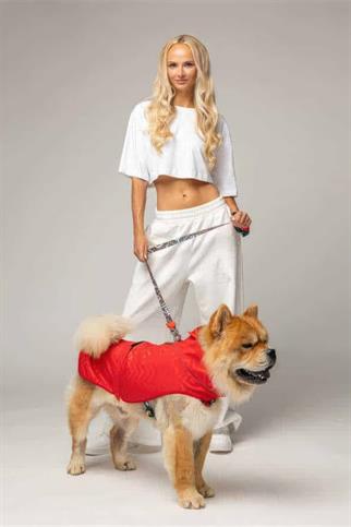 Lindodogs Softshell Red Stripe Küçük,Orta ve Büyük Irk Köpek Yağmurluğu