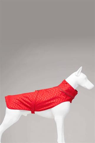 Lindodogs Softshell Red Stripe Küçük,Orta ve Büyük Irk Köpek Yağmurluğu