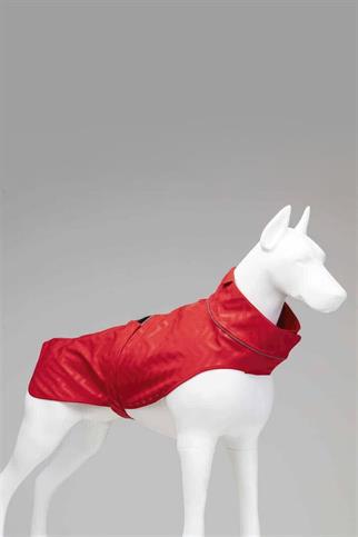 Lindodogs Softshell Red Stripe Küçük,Orta ve Büyük Irk Köpek Yağmurluğu