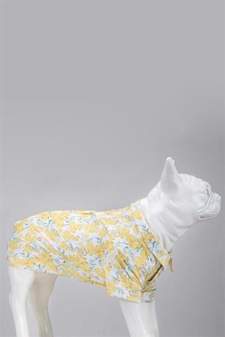 Lindodogs Spring Küçük ve Orta Irk Köpek Gömleği