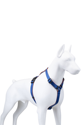 Lindodogs Urban Glow Blue H Tipi Göğüs Tasması 