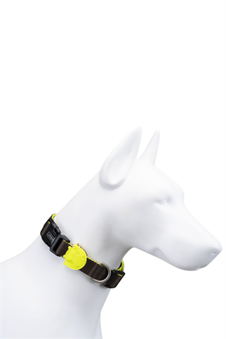 Lindodogs Urban Glow Dark Coffee Boyun Tasması