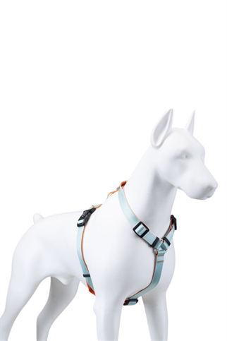 Lindodogs Urban Glow Mint H Tipi Göğüs Tasması