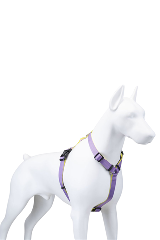 Lindodogs Urban Glow Purple H Tipi Göğüs Tasması