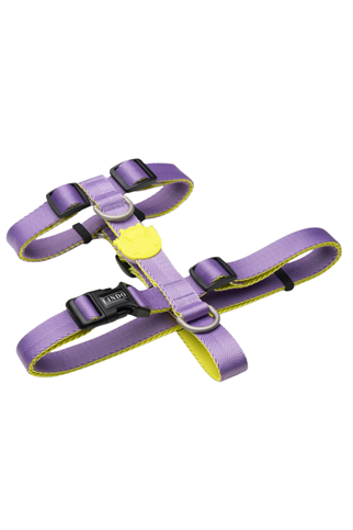 Lindodogs Urban Glow Purple H Tipi Göğüs Tasması