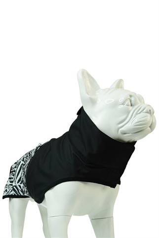 Lindodogs Zebra Köpek Yağmurluk