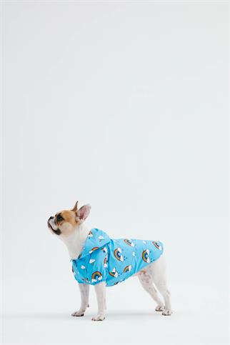 Little Monster Blue Rainbow Köpek Yağmurluğu