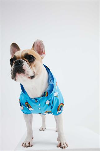 Little Monster Blue Rainbow Köpek Yağmurluğu