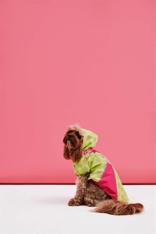 Little Monster Flower Power Köpek Yağmurluğu