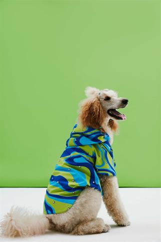 Little Monster Green Blue Wave Köpek Yağmurluğu