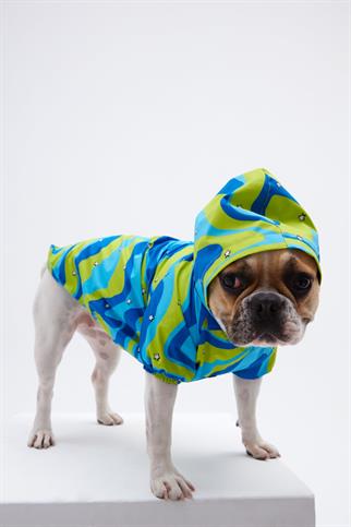 Little Monster Green Blue Wave Köpek Yağmurluğu