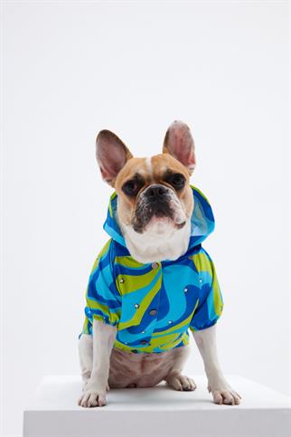 Little Monster Green Blue Wave Köpek Yağmurluğu