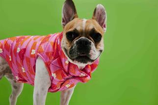 Little Monster Orange Pink Checkered Puffer Köpek Montu