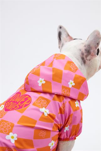 Little Monster Orange Pink Damalı Köpek Yağmurluğu