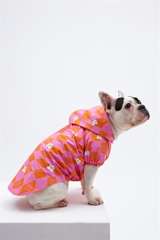 Little Monster Orange Pink Damalı Köpek Yağmurluğu