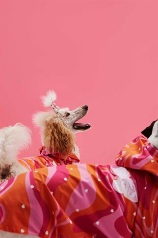 Little Monster Orange Pink Wave Köpek Yağmurluğu
