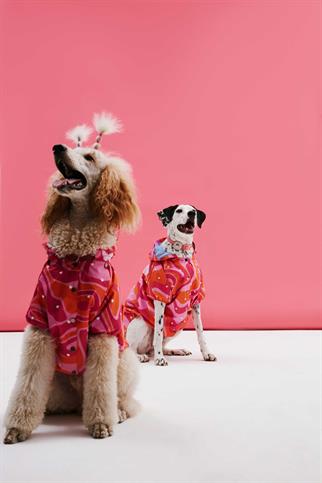 Little Monster Orange Pink Wave Köpek Yağmurluğu