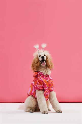 Little Monster Orange Pink Wave Köpek Yağmurluğu