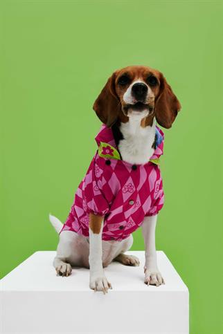 Little Monster Pink Checkered Köpek Yağmurluğu