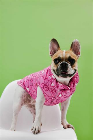 Little Monster Pink Flowers Puffer Köpek Montu