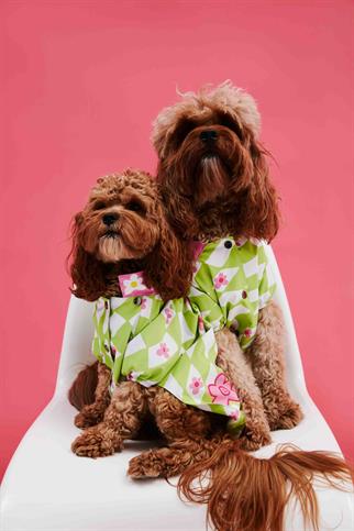 Little Monster Yeşil Damalı Köpek Yağmurluğu