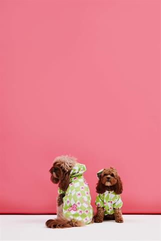 Little Monster Yeşil Damalı Köpek Yağmurluğu