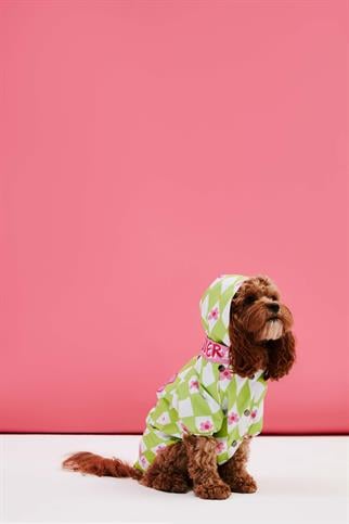 Little Monster Yeşil Damalı Köpek Yağmurluğu