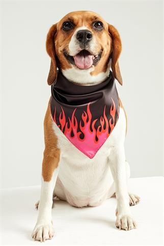 Little Monsters Black Fire Bandana