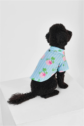 Little Monsters Blue Striped Gömlek