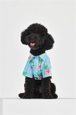 Little Monsters Blue Striped Gömlek