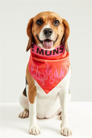 Little Monsters Fire Bandana