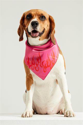 Little Monsters Fire Bandana