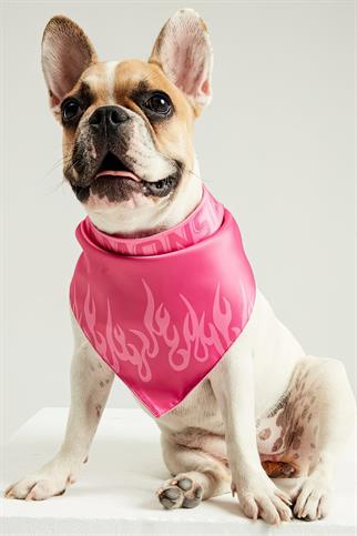 Little Monsters GRL PWR Bandana