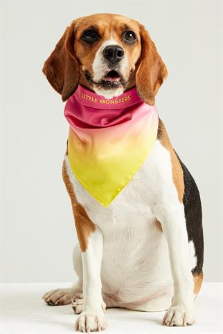 Little Monsters Hearts Candy Bandana