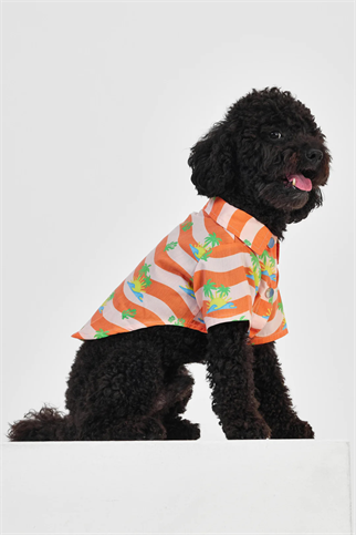 Little Monsters Orange Palm Gömlek