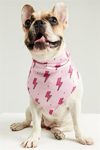 Little Monsters Pink Flash Bandana
