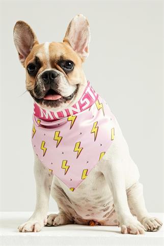 Little Monsters Pink Flash Bandana