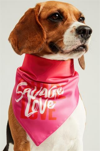 Little Monsters Savage Love Bandana