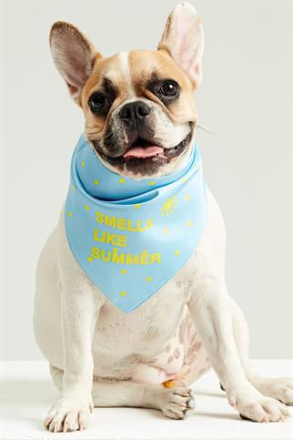 Little Monsters Smells Like Summer Bandana