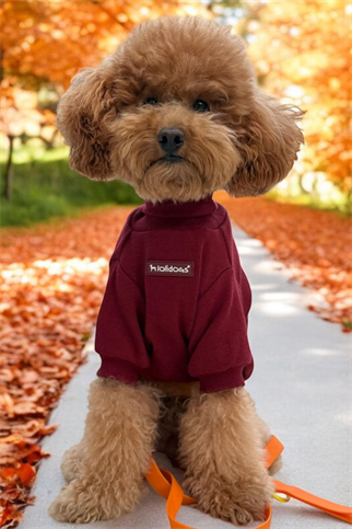 Lolidogs Balıkçı Yaka Basic Bordo