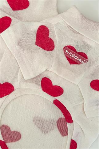 Lolidogs Balıkçı Yaka İnce Triko Kalp Desenli Köpek Kazağı Ekru