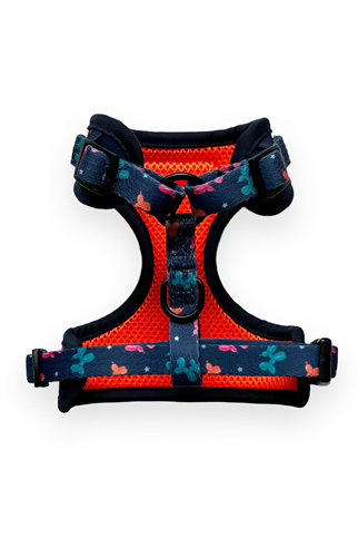 Lolidogs Balloon Dog Harness Set