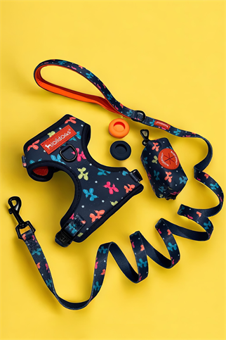 Lolidogs Balloon Dog Harness Set