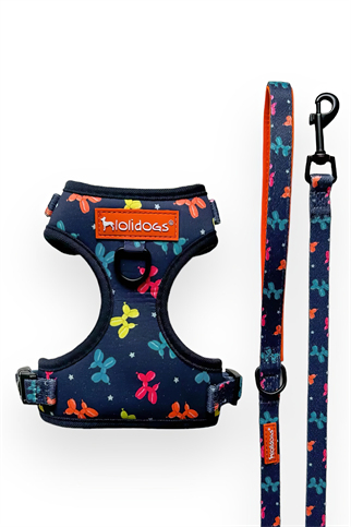 Lolidogs Balloon Dog Harness Set