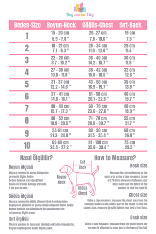 Lolidogs Baloon Dog Köpek Montu