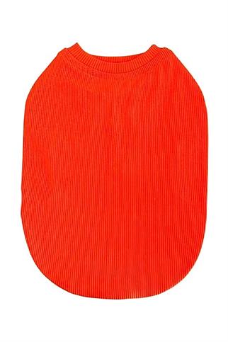 Lolidogs Basics - Kaşkorse Köpek Tshirtü Neon Turuncu