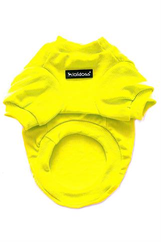 Lollidogs Basics Kashkorse Neon Yellow Dog Sweatshirt