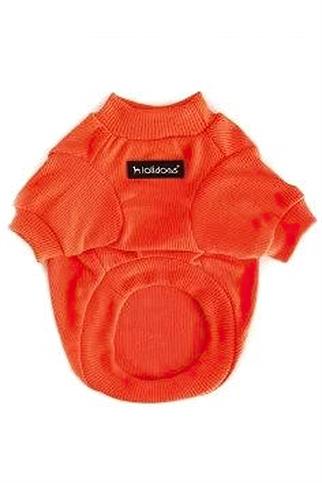 Lolidogs Basics Kaşkorse Neon Turuncu Köpek Sweatshirt